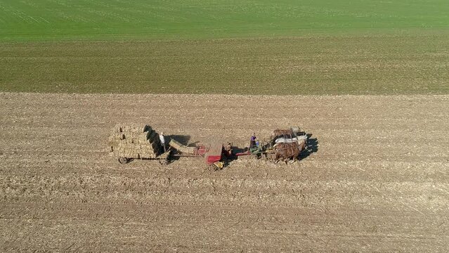 Aerial View of an Amish Man and Woman Harvesting Corn Stalks and Bailing