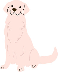 Cute dog 