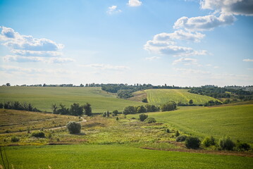 Fototapeta na wymiar Green Grass Field Landscape with fantastic clouds in the backgro