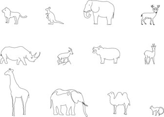 sketch vector illustration of jungle wild animal design