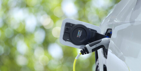 Close-up EV plug connected white modern EV Car for recharging battery energy on blurred greenery background, green energy on zero emission, copy space