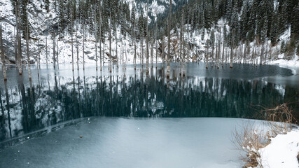 Coniferous tree trunks come out of a mountain lake. Smooth water like a mirror reflects the snowy...