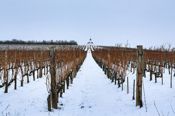 Tokaj vineyard in snow (Ter&eacute;zia Chapel)