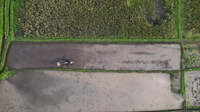 Man using board attached to walking tractor to level and make smooth muddy soil at watered field. Top-down aerial shot of farmer working at flooded, plowed and tilled paddy