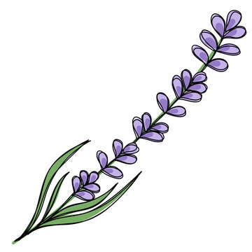 recommend clip art: Lavender twig 