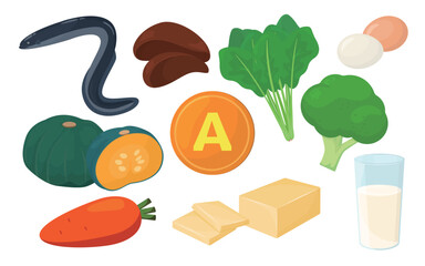 Vector illustration of foods containing vitamin A.