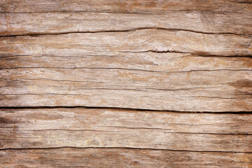 Old wood vintage wall texture. background old panels