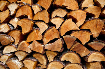 cut stacked firewood logs