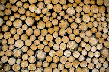 cut stacked firewood logs