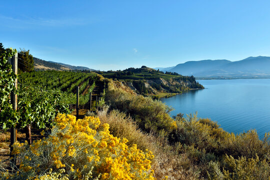 Naramata Bench Penticton Okanagan Valley