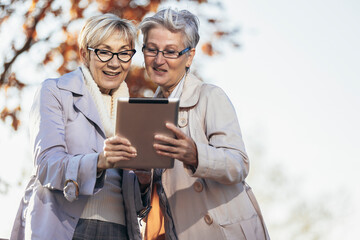 Two senior female friends using digital tablet in the park