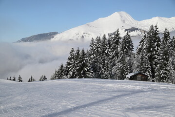 snow covered mountains