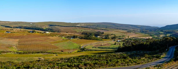 Foto auf Leinwand Hemel en Aarde Valley, famous for it's beautiful scenery and vineyards, near Hermanus. Overberg. Western Cape. South Africa © Roger de la Harpe