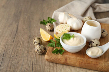 Concept of sauce, mayonnaise, space for text