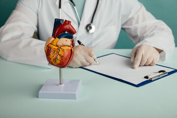 Anatomical model of the heart on the doctor's table, healthcare concept