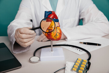 Anatomical model of human heart and doctor with magnifying glass