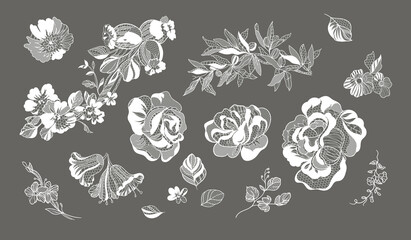 set lace flower, bouquet, vector illustration