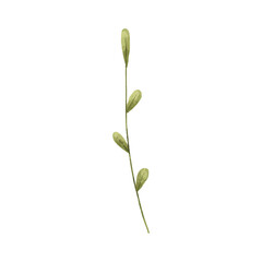cute vector botanical branch, leaf, hand painted illustration