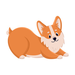 Cute corgi pull up after sleep, comic character. Vector illustration of funny dog with friendly emotion. Cartoon playing puppy isolated white. Animal companion