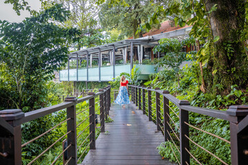 Woman in dress walking on wooden bridge among green tropical forest