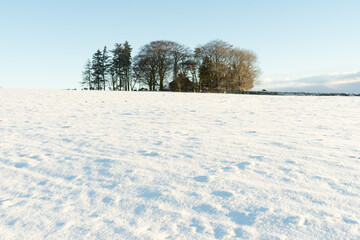 Snow covered field in Northumberland