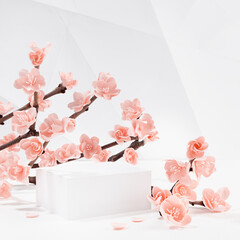 Romantic spring scene - white rectangle podium mockup, branch  pink sakura flowers in sunlight in white interior abstract geometric style, template for presentation cosmetic products, goods, square.