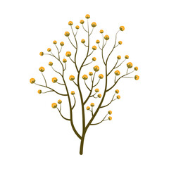 Dry autumn plant vector illustration. Autumn bouquet element, dry leaves and flowers, tree branches on white background. Autumn, botany, decoration concept