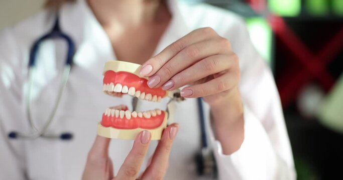 Doctor dentist holding in his hands artificial model of human jaw closeup 4k movie slow motion 