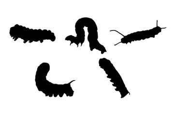 Set of silhouettes of caterpillars vector design