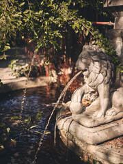 Fototapeta na wymiar Statue of lion fountain outdoor background .