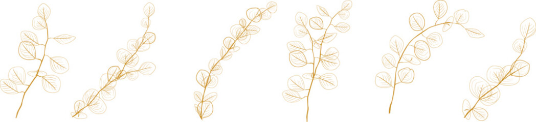 Eucalyptus branches collection.Set of differents golden eucalyptus branches. Natural leaves and branches designer art tropical elements set. Hand drawn,one line eucalyptus leaves and branches.