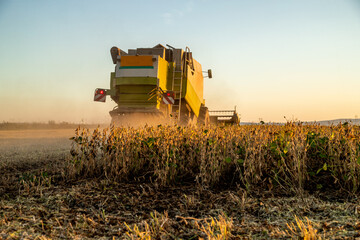 Harvest time, a farmer in a combine harvester at work in a soybean agricultural farm field