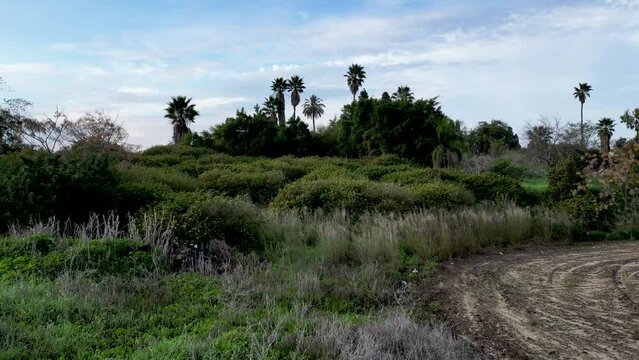 Drone 4K videos of Tel Shalaf &ndash; Tell esh Shallaf Historical site on the southern outskirts of the city of Rehovot