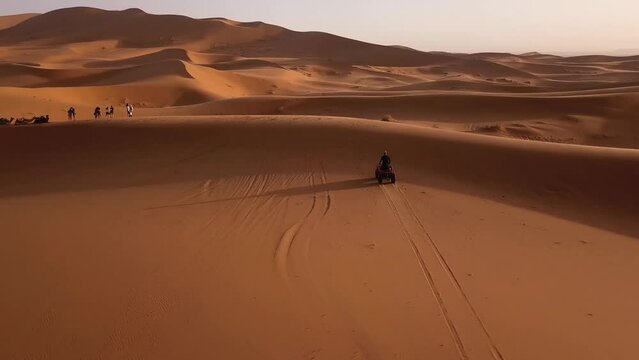 Aerial view a guy driving a quad in Moroccan Sahara desert. Sahara quad experience.