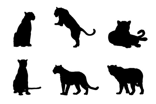 Set of silhouettes of leopards vector design