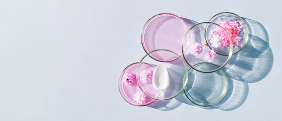 petri dish with cosmetic samples on a light background