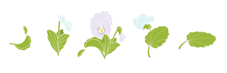 set with spring flowers, leaves, buds on an isolated background