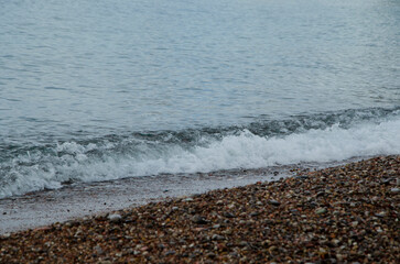 Sea wave near the shore