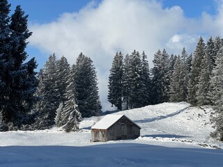 Indigenous alpine huts and wooden cattle stables in the Swiss Alps covered with fresh first snow over the Lake Walen or Lake Walenstadt (Walensee), Amden - Canton of St. Gallen, Switzerland (Schweiz)