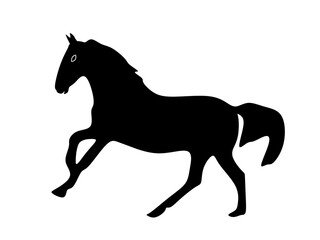 Fototapeta na wymiar horse icon with trendy design.horse silhouette
