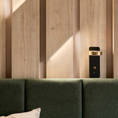Close-up on modern black and gold lamp