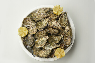 oyster close-up on oyster background