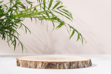 Wooden round podium for beauty products on light background with palm leaf casting shadow. Mockup...