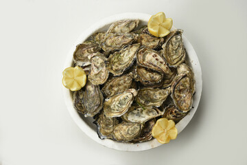 oyster close-up on oyster background