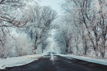 Fototapeta premium road in winter