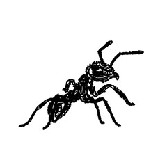 black and white sketch of an ant with a transparent background