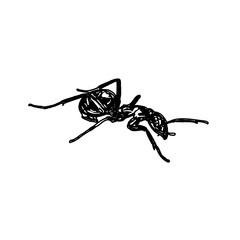 black and white sketch of an ant with a transparent background
