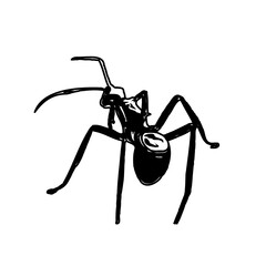black and white sketch of an ant with a transparent background