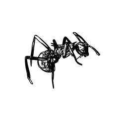black and white sketch of an ant with a transparent background