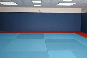 Judo and karate mat and martial arts close-up - obrazy, fototapety, plakaty